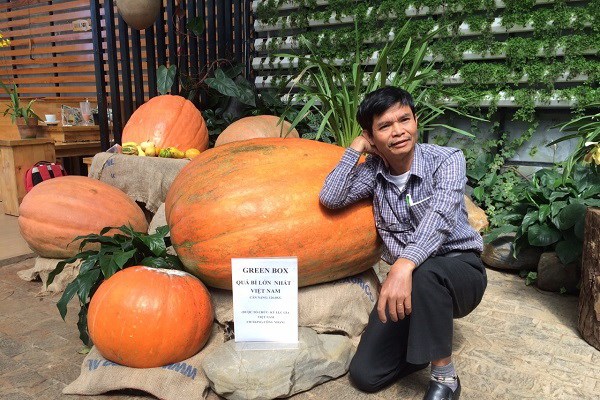 Quả bí ngô lớn nhất Việt Nam có trọng lượng 126,6 kg - Anh 1