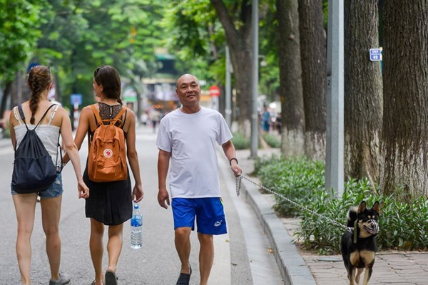 Hà Nội yêu cầu có phương án khắc phục tình trạng dắt chó, mèo vào phố đi bộ - Anh 1
