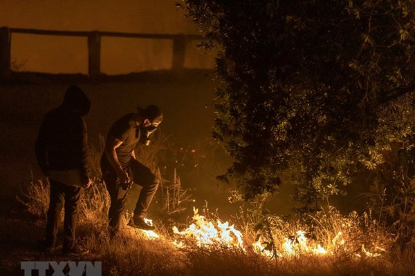 Mỹ: 100.000 người phải sơ tán vì cháy rừng lan rộng ở bang California - Anh 1