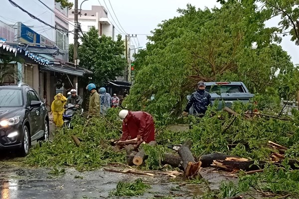 Đà Nẵng: Nhiều cây xanh gẫy đổ sau bão - Anh 1