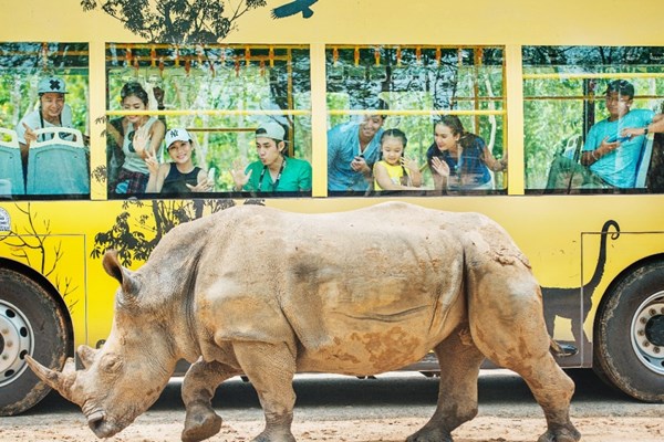 Vinpearl Safari đăng cai tổ chức hội nghị bảo tồn và phúc trạng động vật lớn nhất Đông Nam Á - Anh 3