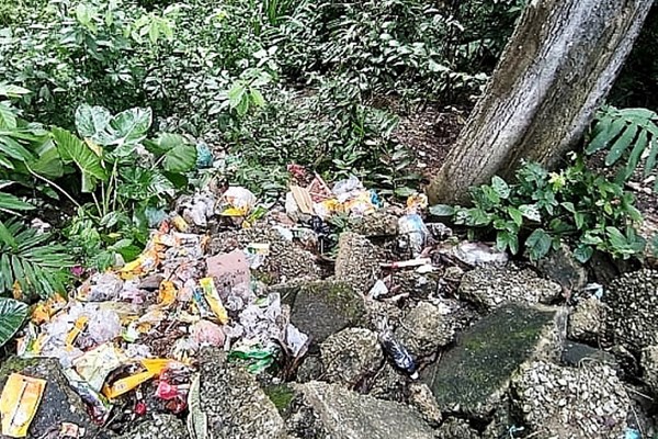 Rừng đặc dụng săng lẻ ở Nghệ An bị rác bủa vây - Anh 1