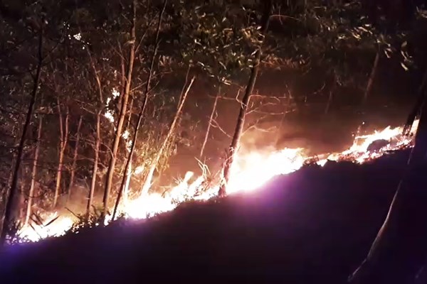 Khởi tố đối tượng vì vô tình gây cháy hơn 100ha rừng ở Quảng Nam - Anh 1