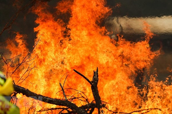 Australia chi tiền điều trị chấn thương tinh thần do cháy rừng gây ra - Anh 1