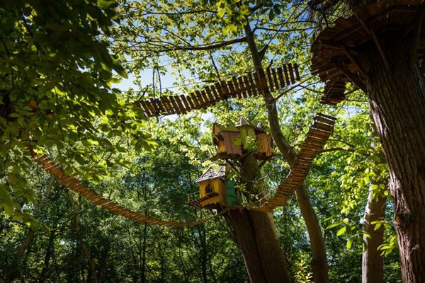 Anh: Xuất hiện công viên giải trí rừng cây trị giá 5 triệu bảng trong năm 2020 - Anh 1