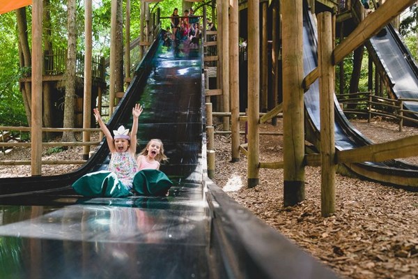 Anh: Xuất hiện công viên giải trí rừng cây trị giá 5 triệu bảng trong năm 2020 - Anh 2