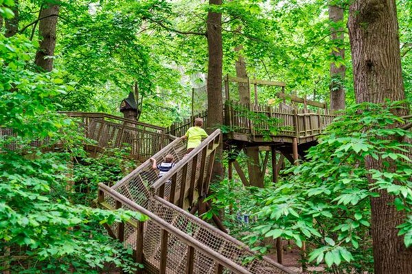 Anh: Xuất hiện công viên giải trí rừng cây trị giá 5 triệu bảng trong năm 2020 - Anh 3