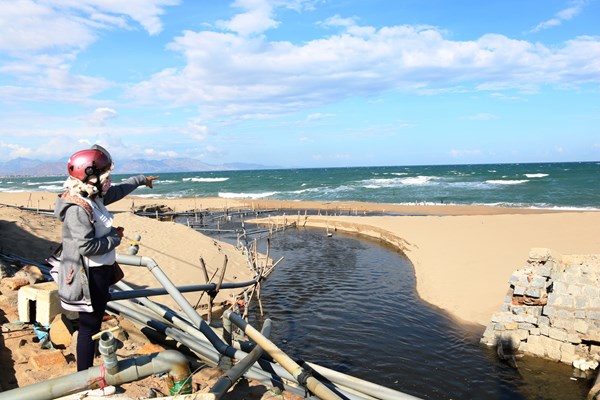 Nước thải trại nuôi tôm đang “bức tử” môi trường biển - Anh 1