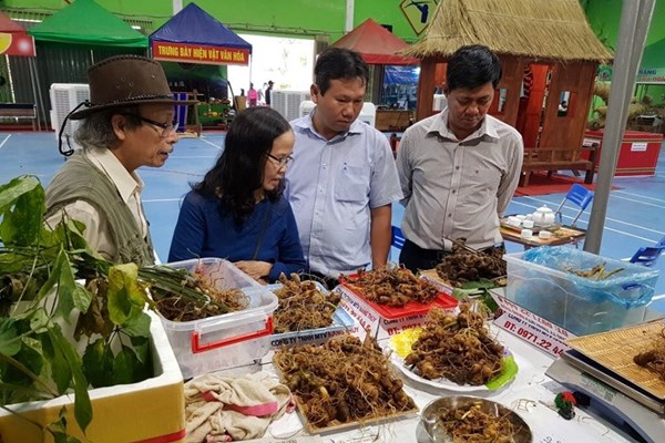 Quảng Nam: Chợ sâm Ngọc Linh chuyển sang bán online, ngưng Lễ hội hoa sưa - Anh 1
