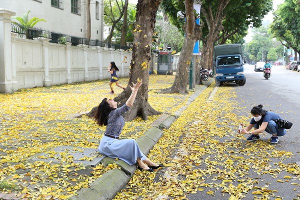 Hà Nội: Mùa lá rụng nhuộm vàng nhiều tuyến phố - Anh 4