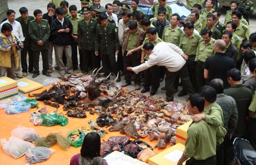 Ủng hộ tinh thần chỉ đạo của Thủ tướng về nghiêm cấm mua bán, tiêu thụ động vật hoang dã - Anh 2