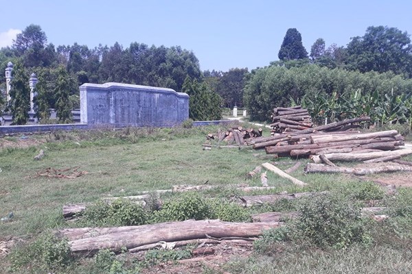 Kiến nghị “dọn” bãi tập kết gỗ ở khu vực lăng Trường Cơ - Anh 1