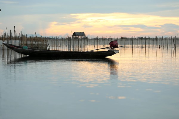 Ngất ngây trước phong cảnh tuyệt đẹp của đầm Chuồn - phá Tam Giang - Anh 5