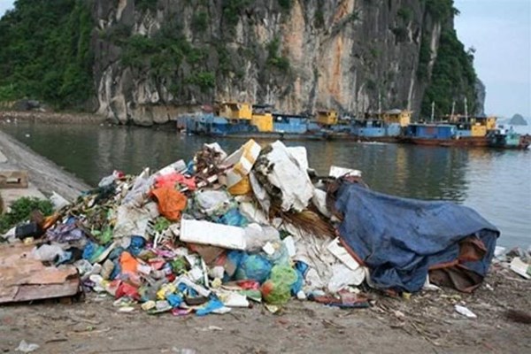 Thử thách sáng tạo giảm thiểu ô nhiễm rác thải nhựa - Anh 2