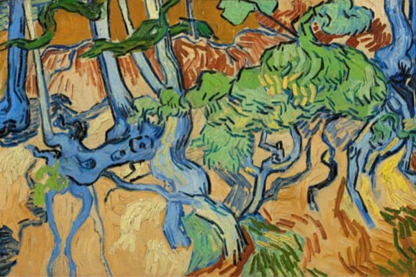 Nơi danh họa Van Gogh vẽ bức tranh cuối cùng - Anh 1