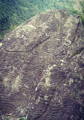 Phát hiện mới về khảo cổ học ở xã Lao Chải (Mù Cang Chải- Yên Bái): Những “siêu phẩm” về ruộng bậc thang trên đá - Anh 3