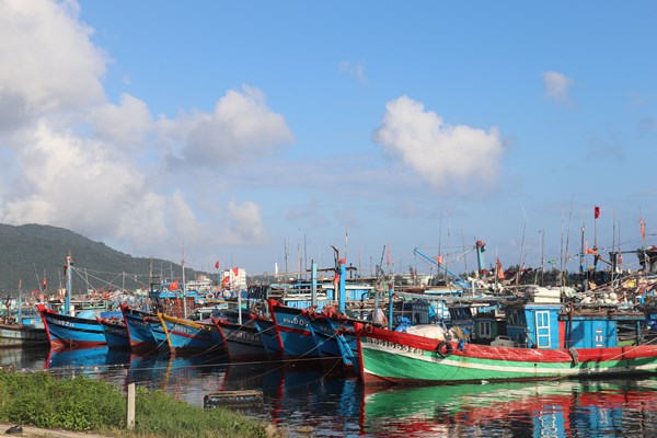 Ứng phó với mưa to và bão lớn, Đà Nẵng nghiêm cấm tàu thuyền ra khơi - Anh 1