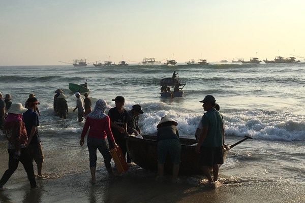 Bão số 5 giật cấp 12, gần 3.000 ngư dân Quảng Nam còn ở ngoài khơi - Anh 3