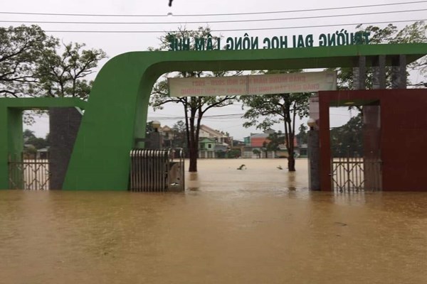 ĐH Huế và ĐH Đà Nẵng được gia hạn thời gian nhập học vì mưa lũ - Anh 2