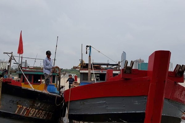 Thừa Thiên Huế: Sơ tán 64.720 người dân tránh trú bão số 9 - Anh 3