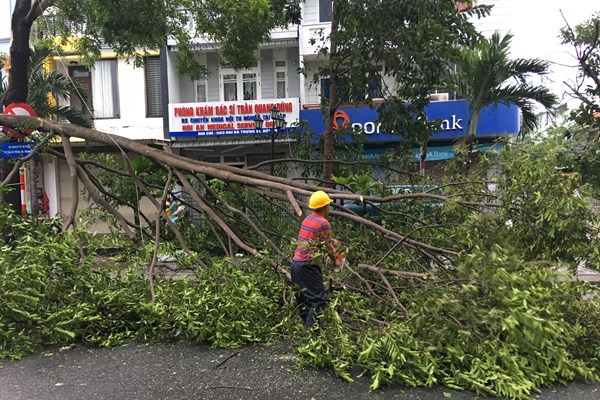 Quảng Nam: Bão vừa qua, cảnh báo lũ đặc biệt lớn trên sông Vu Gia - Anh 3