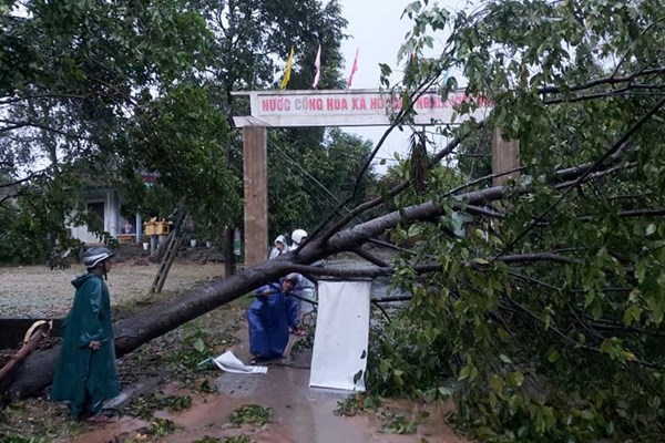 Thừa Thiên Huế: Hơn 1.260 nhà dân tốc mái, nhiều công trình dân sinh hư hại sau bão số 9 - Anh 1