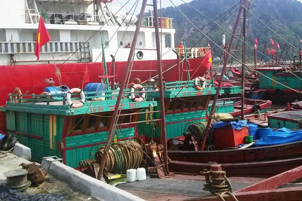 Ngư dân “mắc cạn” tại cảng cá đầu tư hàng chục tỉ đồng - Anh 2