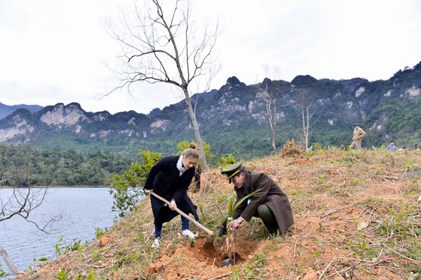 Tuyên Quang: 2.700 cây xanh được trồng mới tại hồ sinh thái Lâm Bình - Anh 3