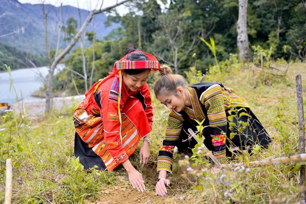 Tuyên Quang: 2.700 cây xanh được trồng mới tại hồ sinh thái Lâm Bình - Anh 2