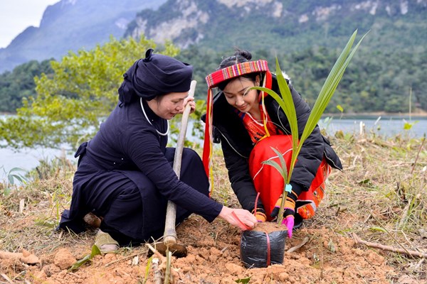 Tuyên Quang: 2.700 cây xanh được trồng mới tại hồ sinh thái Lâm Bình - Anh 4
