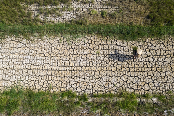 Nông nghiệp, tài nguyên nước là những đối tượng dễ bị tổn thương do biến đổi khí hậu - Anh 1