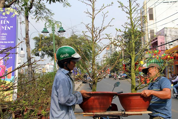 Rực rỡ sắc xuân ở chợ hoa “Trên bến dưới thuyền” - Anh 14