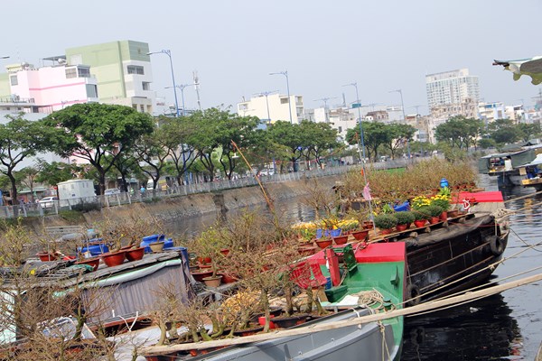 Rực rỡ sắc xuân ở chợ hoa “Trên bến dưới thuyền” - Anh 5