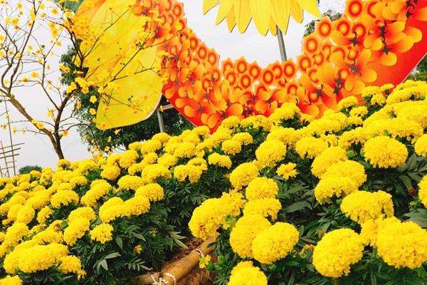 Nghệ An: Trẩy hội hoa xuân và nghỉ dưỡng với ưu đãi hấp dẫn tại Khu du lịch sinh thái Mường Thanh Diễn Lâm - Anh 5