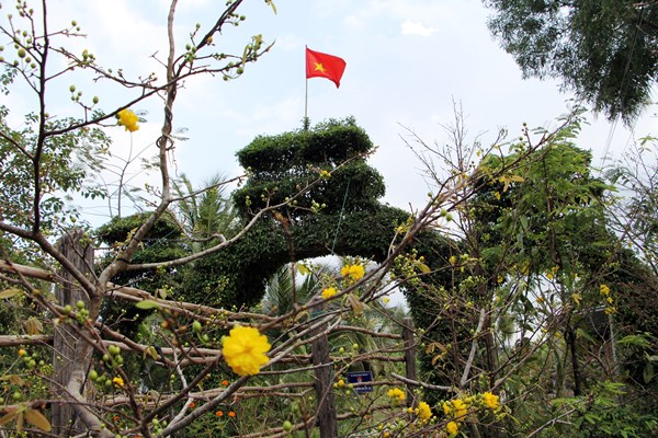 Độc đáo cổng tam quan bằng cây xanh ở huyện An Minh, Kiên Giang - Anh 6