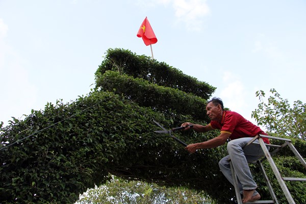 Độc đáo cổng tam quan bằng cây xanh ở huyện An Minh, Kiên Giang - Anh 4