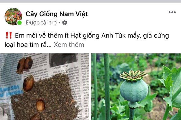 Nhiều vi phạm trên tài khoản FACEBOOK