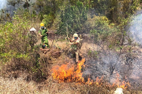 Quảng Nam: Cháy rừng phòng hộ ven biển, hàng trăm người nỗ lực dập lửa - Anh 3