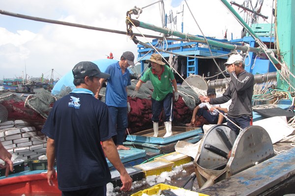 Đà Nẵng:  Đảm bảo cung ứng nguồn hải sản cho người dân sau khi tạm dừng hoạt động cảng cá Thọ Quang - Anh 1