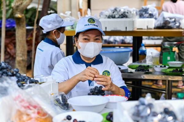 Bộ VHTTDL: Tuyên truyền, lan tỏa thông điệp tích cực trong phòng, chống dịch bệnh Covid -19 - Anh 5