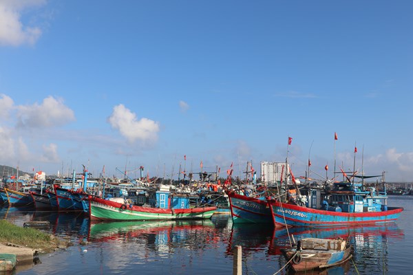 Đà Nẵng: Quy hoạch nghề cá theo hướng thương mại dịch vụ kết hợp du lịch - Anh 1