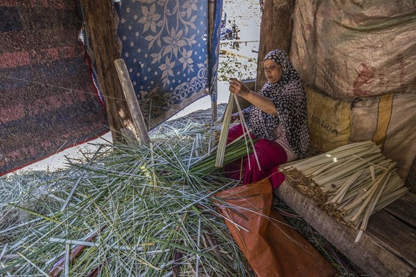 Những người làm giấy cói tại Ai Cập: Chúng tôi luôn giữ lửa truyền thống - Anh 1
