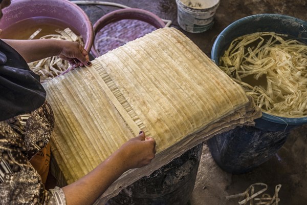Những người làm giấy cói tại Ai Cập: Chúng tôi luôn giữ lửa truyền thống - Anh 3
