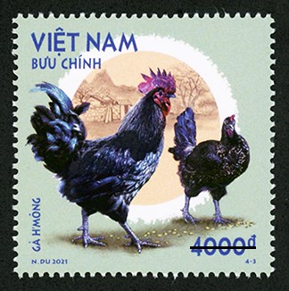 Phát hành bộ tem bưu chính “Gà bản địa Việt Nam
