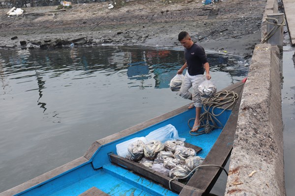 Đà Nẵng: Đề nghị xử phạt những ngư dân vi phạm quy định phòng, chống dịch - Anh 1