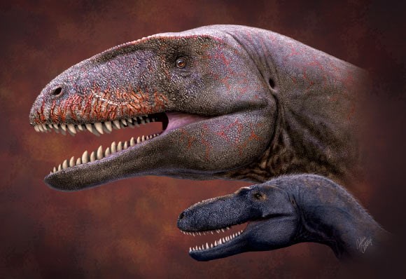 Xác định loài khủng long ăn thịt khổng lồ mới ở Uzbekistan - Anh 2