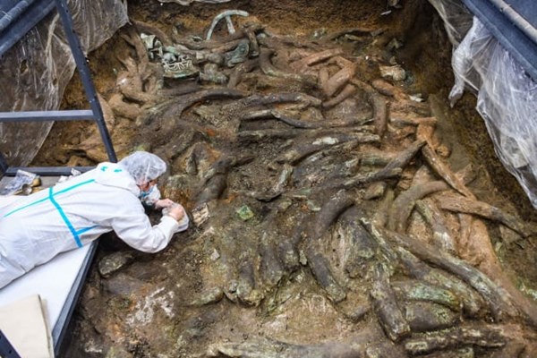 Mặt nạ vàng 3.000 năm tuổi được khai quật ở Trung Quốc - Anh 3