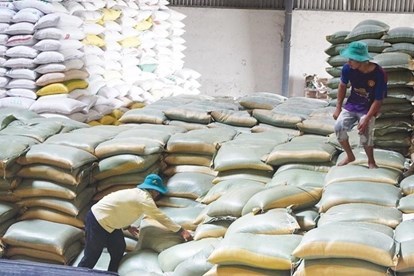 Xuất cấp gần 740 tấn gạo cho tỉnh Bình Định hỗ trợ người dân bị hạn hán - Anh 1