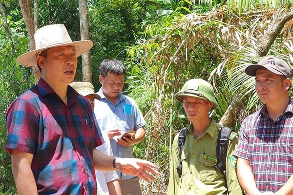 Quảng Nam: Khẩn trương điều tra, xử lý nghiêm vụ phá rừng tại xã Trà Bui - Anh 3