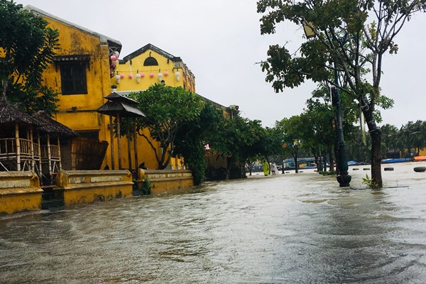 Quảng Nam: Mưa lớn, nhiều vùng ngập lũ, nhiều tuyến đường miền núi bị chia cắt - Anh 6